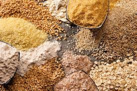 مکمل های پروتئینی دام