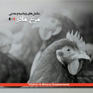 مکمل خوراک دام و طیور